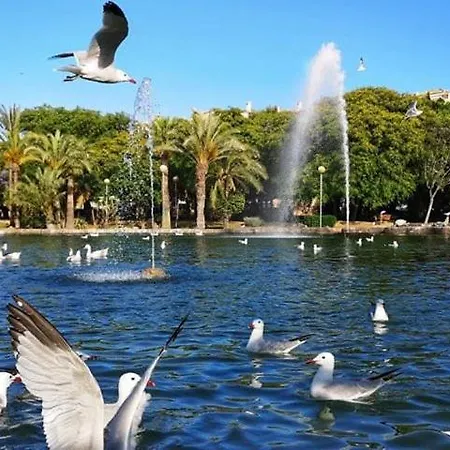 Experience Punta Prima Torrevieja